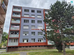 Prodej bytu 2+1, Ostrava - Přívoz, Arbesova, 54 m2