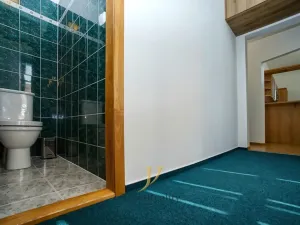 Pronájem bytu 3+1, Olomouc, Blanická, 108 m2