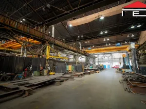 Prodej výrobních prostor, Ostrava, Lihovarská, 21100 m2