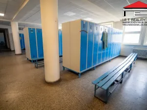 Prodej výrobních prostor, Ostrava, Lihovarská, 21100 m2