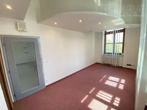 Pronájem kanceláře, Vyškov - Vyškov-Město, 15 m2