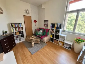 Prodej činžovního domu, Luby, Chebská, 571 m2