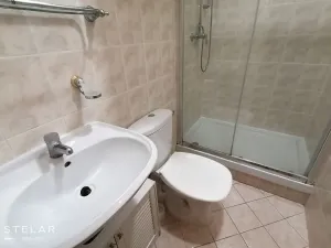 Pronájem bytu 1+kk, Brno - Královo Pole, Vodova, 23 m2