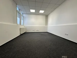 Pronájem skladu, Ostrava, Teslova, 59 m2