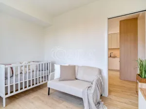 Prodej bytu 2+1, Ostrava - Poruba, Aleše Hrdličky, 41 m2