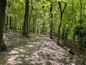 Prodej bytu 4+kk, Praha, Pod lysinami, 80 m2
