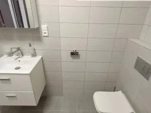 Pronájem bytu 2+kk, Ústí nad Labem - Ústí nad Labem-centrum, Elišky Krásnohorské, 65 m2