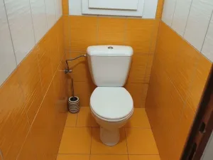 Prodej bytu 3+kk, Březnice, Dolní Valy, 65 m2