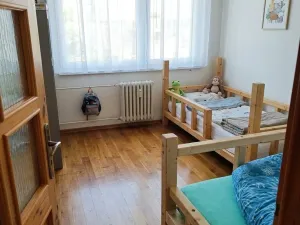 Prodej bytu 3+kk, Březnice, Dolní Valy, 65 m2