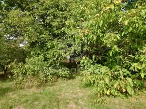 Prodej rodinného domu, Bystrovany, Makarenkova, 270 m2