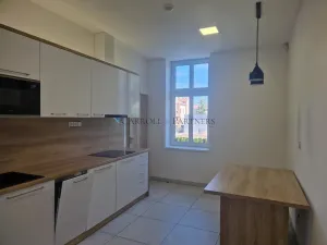 Pronájem obchodního prostoru, Ostrava - Přívoz, Fügnerova, 118 m2