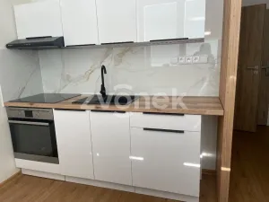 Pronájem bytu 1+1, Uherské Hradiště, Štěpnická, 33 m2