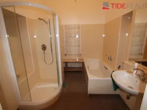 Pronájem bytu 3+1, Praha - Vinohrady, Mánesova, 100 m2