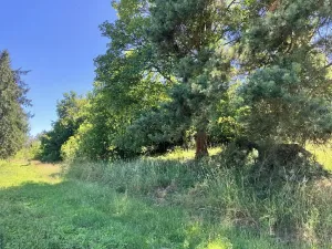Prodej pozemku pro bydlení, Čkyně, 326 m2