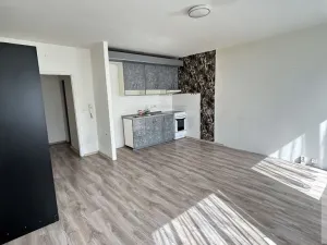 Pronájem bytu 2+kk, Ústí nad Labem - Krásné Březno, Keplerova, 48 m2