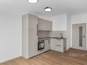 Pronájem bytu 1+kk, Milovice, 27 m2