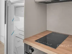 Pronájem bytu 1+kk, Milovice, 27 m2