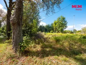 Prodej rodinného domu, Červená Voda, 50 m2