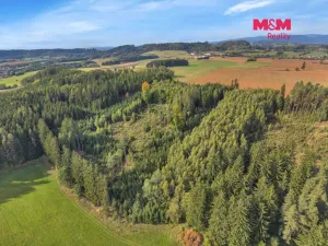 Prodej lesa, Vidochov, 8513 m2