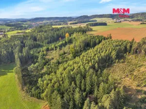 Prodej lesa, Vidochov, 8513 m2