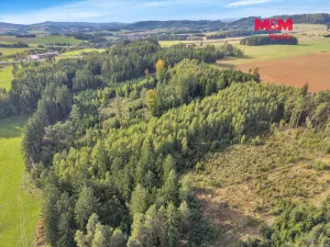 Prodej lesa, Vidochov, 8513 m2
