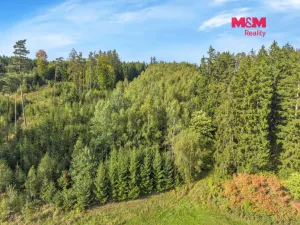 Prodej lesa, Vidochov, 8513 m2