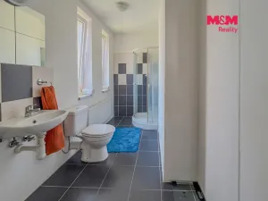 Prodej rodinného domu, Litoměřice - Předměstí, Na Vinici, 200 m2