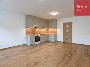 Pronájem bytu 1+kk, Opava, Lužická, 38 m2