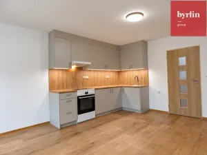 Pronájem bytu 1+kk, Opava, Lužická, 38 m2