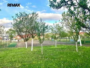 Prodej rodinného domu, Vacenovice, 215 m2