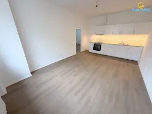 Pronájem bytu 2+kk, Praha - Žižkov, Baranova, 60 m2