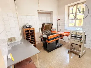 Pronájem výrobních prostor, Netolice, Mírové Náměstí, 500 m2