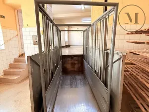 Pronájem výrobních prostor, Netolice, Mírové Náměstí, 500 m2