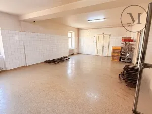 Pronájem komerční nemovitosti, Netolice, Mírové Náměstí, 500 m2