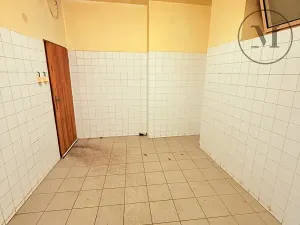 Pronájem komerční nemovitosti, Netolice, Mírové Náměstí, 500 m2