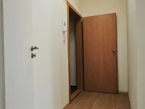 Pronájem bytu 1+kk, Brno - Veveří, Smetanova, 17 m2
