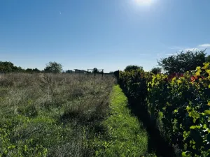 Prodej zahrady, Týnec, 1237 m2