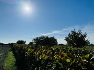 Prodej zahrady, Týnec, 1237 m2