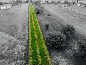 Prodej zahrady, Týnec, 1237 m2