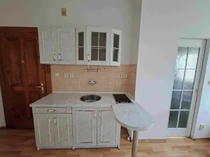 Pronájem bytu 1+1, Praha - Žižkov, Krásova, 30 m2