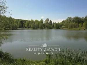 Prodej komerčního pozemku, Žabeň, 32500 m2