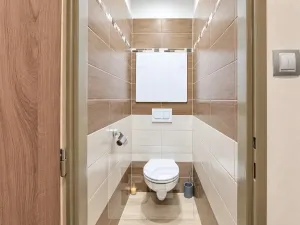 Pronájem bytu 3+kk, Plzeň, Francouzská třída, 52 m2