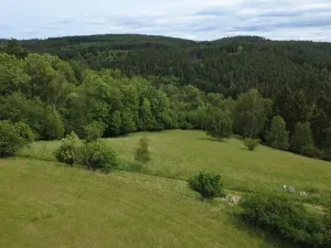 Prodej pozemku pro bydlení, Planá, 1218 m2