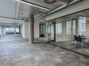 Pronájem kanceláře, Praha - Nové Město, Václavské náměstí, 326 m2