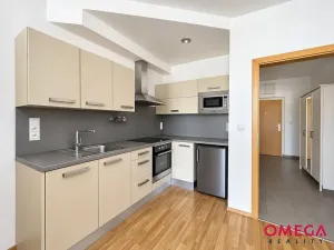 Pronájem bytu 1+kk, Praha - Nusle, V Horkách, 36 m2