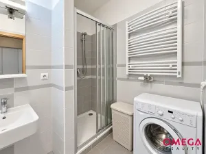 Pronájem bytu 1+kk, Praha - Nusle, V Horkách, 36 m2