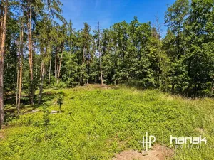 Prodej rodinného domu, Hluchov, 127 m2