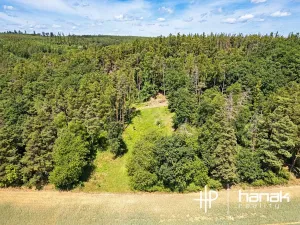 Prodej pozemku pro bydlení, Hluchov, 3150 m2