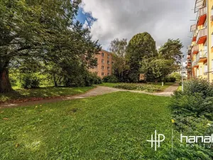 Pronájem bytu 1+1, Olomouc, Foerstrova, 34 m2
