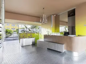 Pronájem bytu 2+kk, Praha - Žižkov, Prokopova, 54 m2